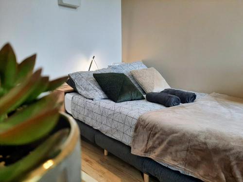 a bedroom with a bed with pillows and a plant at Les Apparts de Marmande - Petit Cocon en ville in Marmande