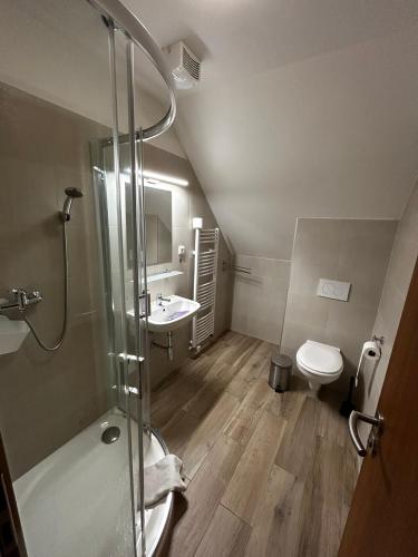 a bathroom with a shower and a sink and a toilet at Penzion U Ježka in Nedakonitz