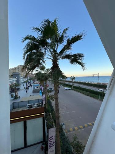 a palm tree in a parking lot next to the ocean at Front Front Water in Ain Sokhna