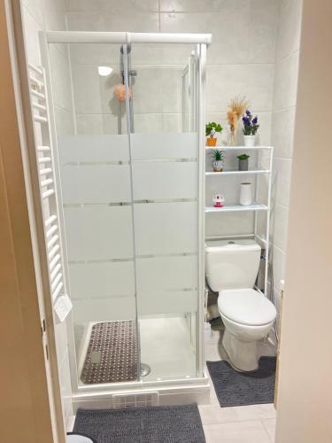 une salle de bains avec douche et toilettes dans l'établissement Paris apertment, à Paris