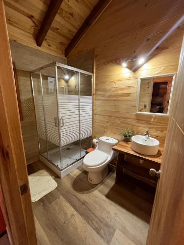 a bathroom with a shower and a toilet and a sink at Cabaña Caburgua vista al Volcán, Senderos del Bosque in Pucón