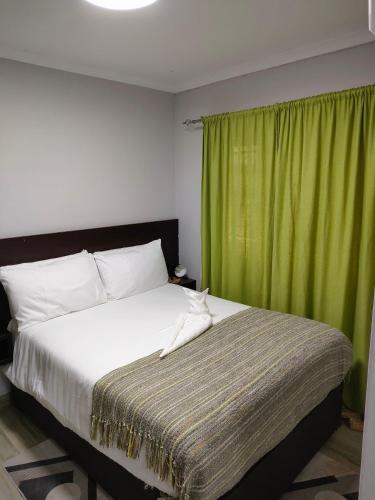 a bedroom with a bed with a green curtain at Oloks Guest Inn in Francistown