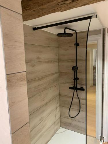 a shower in a bathroom with wooden walls at Le Cat'saisons in Wellin