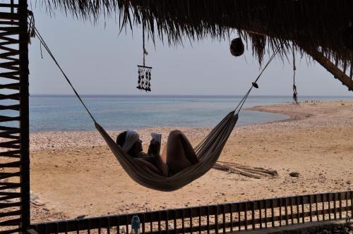 Wasla Beach Camp - Abu Galoum