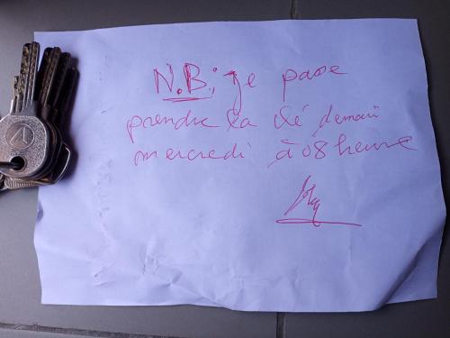 Billede fra billedgalleriet på Kgh i Cotonou