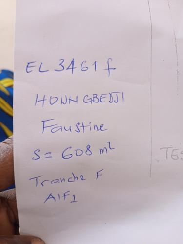 Billede fra billedgalleriet på Kgh i Cotonou