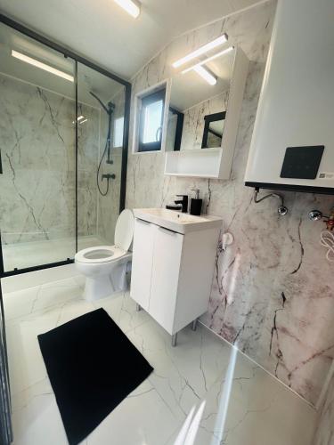 ein Badezimmer mit Toilette, Waschbecken und Dusche in der Unterkunft Tiny House Doi Frați in Drăguş
