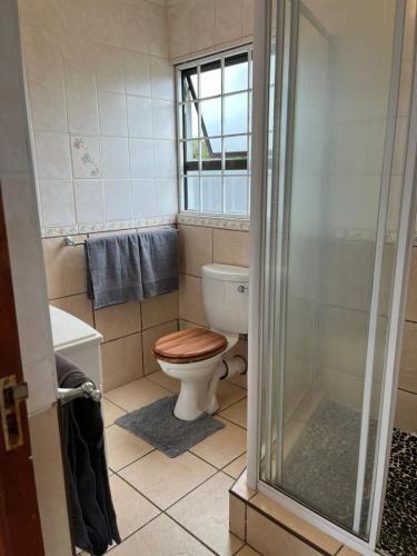 a bathroom with a toilet and a glass shower at Hawthorne By The Sea in Kingsborough