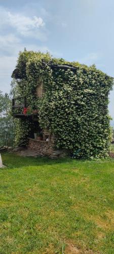 a ivy covered building with a green yard at le faye in Envie