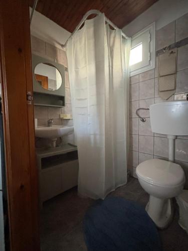 a bathroom with a white toilet and a sink at MARIA 'S LITTLE HOUSE in Patitiri