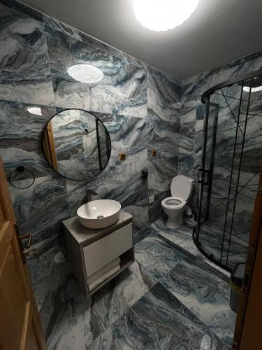 a bathroom with a sink and a shower and a toilet at Mountain Breeze in Borlova