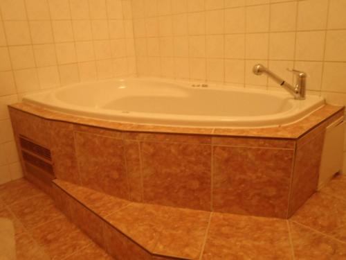 a bath tub in a bathroom with a tile wall at Hotel Green House in Teplice