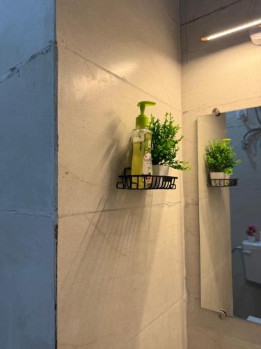 a soap dispenser on a wall with two potted plants at Luxe Label Studio by Sam in Zirakpur