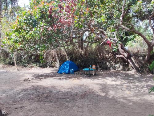 Foto de la galeria de Kairakunda a Abémé