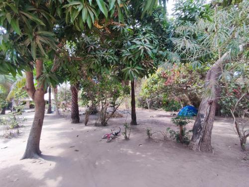 Jardí fora de Kairakunda