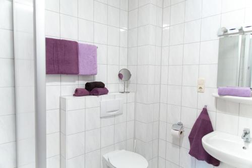 a white bathroom with a toilet and a sink at Landhotel Marienthaler Hof in Marienthal