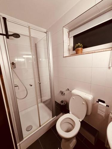 a bathroom with a toilet and a shower at Bad Rothenfelde Residence in Bad Rothenfelde