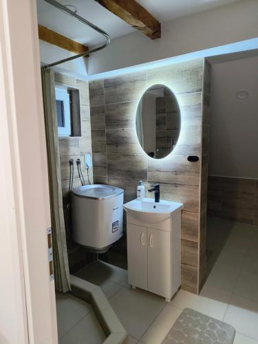 a bathroom with a sink and a mirror at Apartman Martinović in Županja