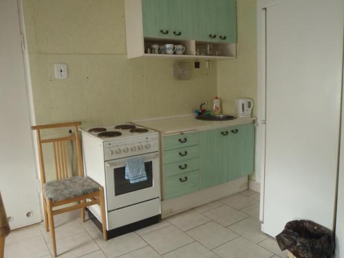 Kuchyň nebo kuchyňský kout v ubytování Hotel Green House