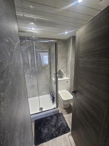 a bathroom with a shower and a toilet at Flat 8 in Plymouth