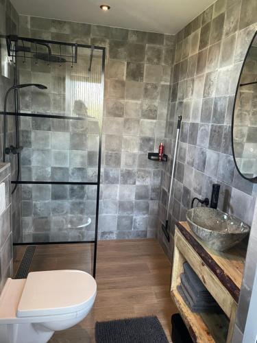 a bathroom with a shower and a toilet and a sink at Appartement in Meliskerke