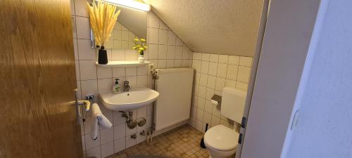 a small bathroom with a sink and a toilet at Pension Hauber - Kirchturmblick in Herrischried