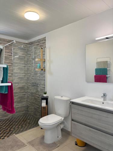 a bathroom with a toilet and a sink and a shower at Residence la Floride in Gros-Morne