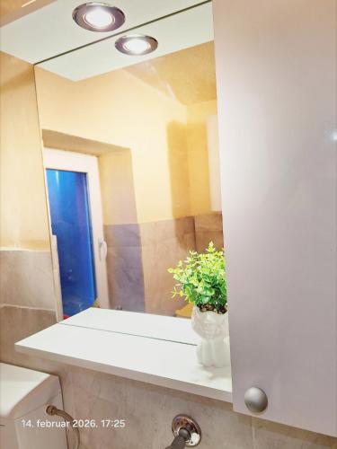 a bathroom with a mirror and a vase with a plant at Rural accommodation Vidovic in Ugarci
