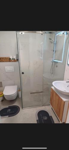 a bathroom with a shower and a toilet and a sink at The Little Haven in Kragujevac