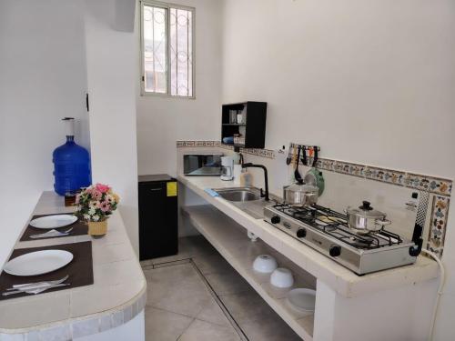 a kitchen with a counter with a stove and a sink at Galápagos Islands-Apartment in Santa Cruz in Puerto Ayora