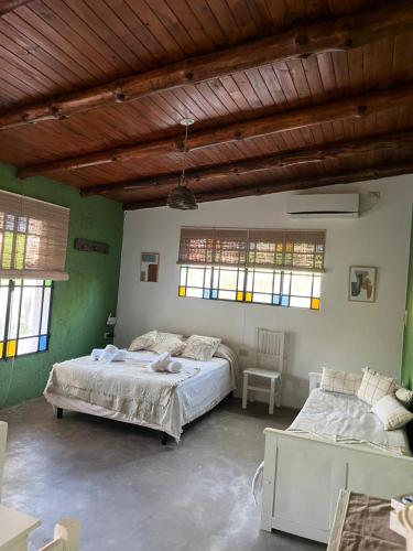 two beds in a room with green walls and windows at Los dos Algarrobos in Villa Dolores