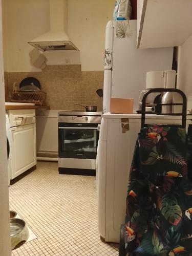 Sunnyniceplace في بولون بيانكور: مطبخ مع ثلاجة وموقد