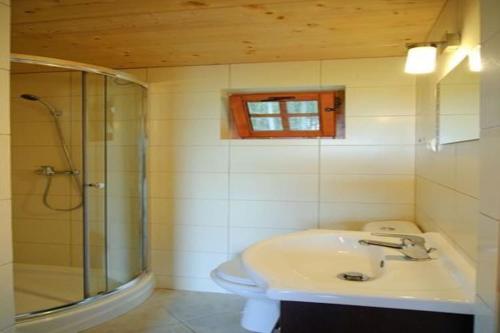 a bathroom with a sink and a glass shower at Summer cottages in Kashubia in Gostkowo