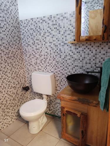a bathroom with a toilet and a sink at Cabaña azul in Los Antiguos