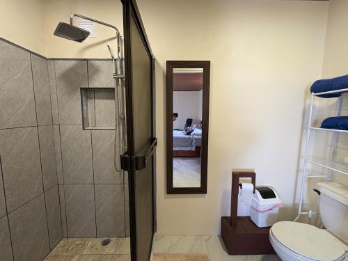 a bathroom with a shower and a toilet and a mirror at Cabin Casove in El Castillo de La Fortuna