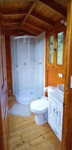 a bathroom with a shower and a toilet and a sink at Eclipse de luna Guatavita in Guatavita