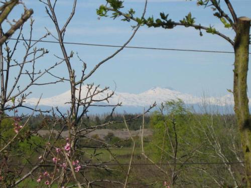 a view of a field with mountains in the background at Cabaña Quillón El Campito in Quillón