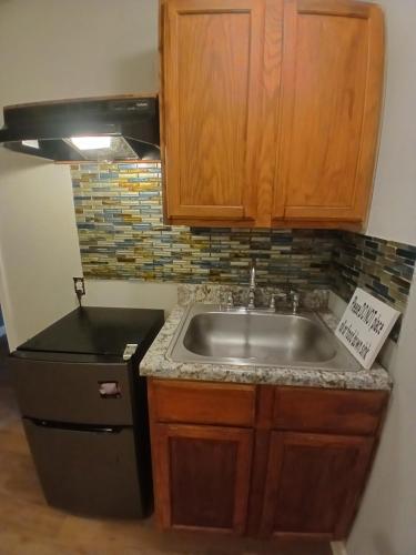 a kitchen with a sink and a black refrigerator at Rasta House Fantasy in Lithia Springs