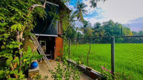 a house with a fence next to a field at Yala Savanna Leopard Lodge in Hambantota