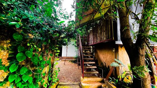 a house with a staircase next to a tree at Yala Savanna Leopard Lodge in Hambantota