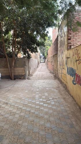 Pyramid View Sphinx iNN