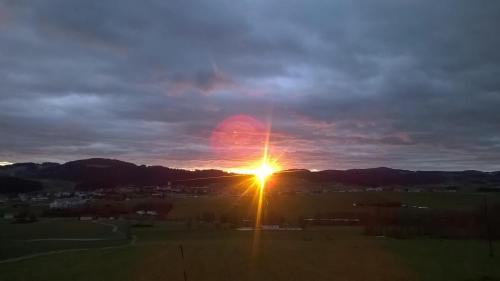 a sunset in a field with a street light at Landhotel SONNENHOF MotorradKrauk in Ulrichsberg