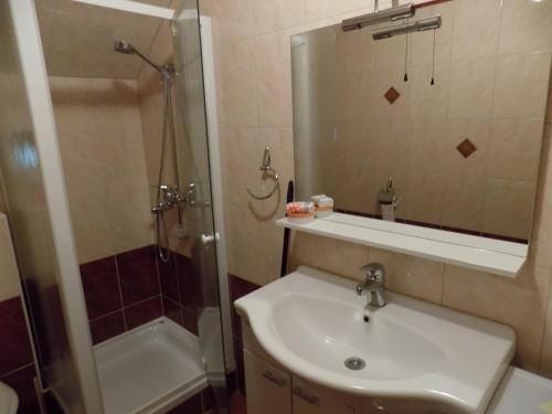 a bathroom with a sink and a shower and a mirror at Apartment Zeleni dragulj Pohorje in Oplotnica