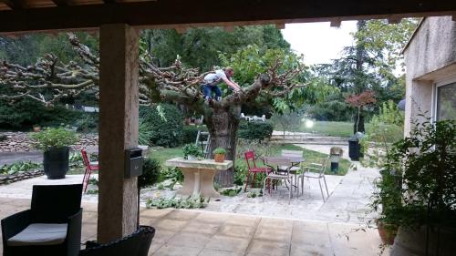 a boy is climbing a tree in a garden at Best Western Le Val Majour in Fontvieille