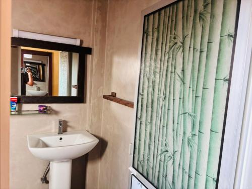 a bathroom with a sink and a shower curtain at Negombo Green Palace in Negombo