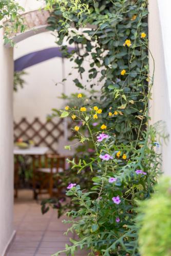 a bunch of flowers are growing on a wall at Guesthouse Niriides in Spetses