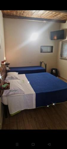 a bedroom with a large bed with blue and white sheets at Filuvespri in Comiso
