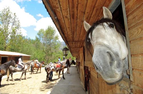 Gallery image of Els Torrents in Bellver de Cerdanya 