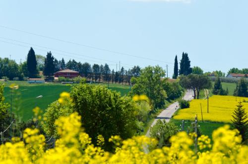 a green field with yellow flowers in the foreground at Il Giardino di Matilde in Perugia