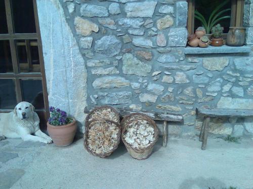 Gallery image of Els Torrents in Bellver de Cerdanya 